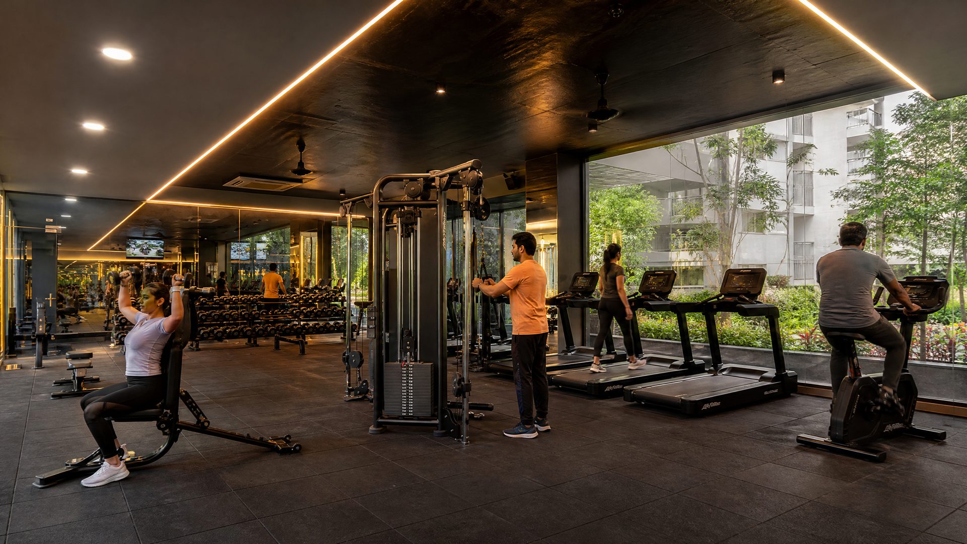 Gym