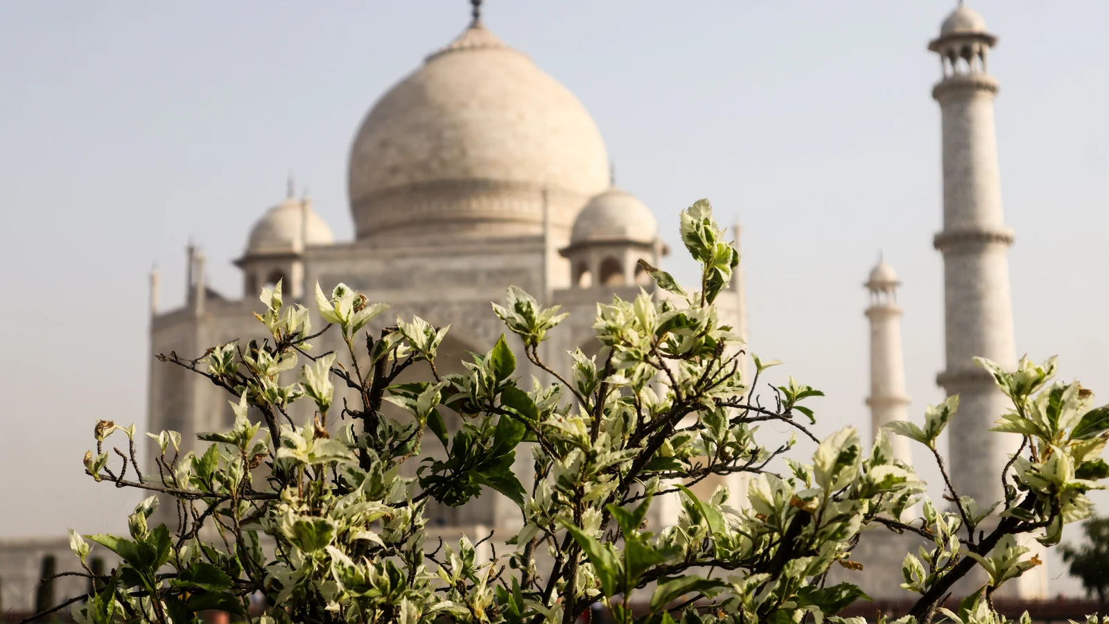 Neighbourhood park in Buri Ka Nagla, Agra