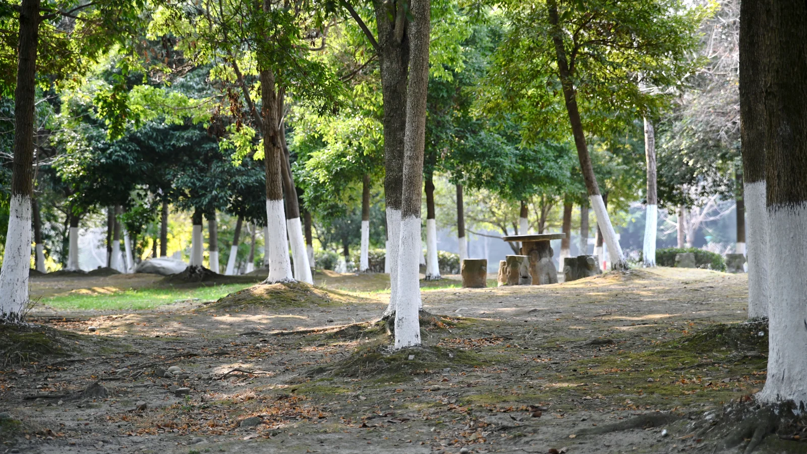 Neighbourhood park in Madhu Nagar, Agra