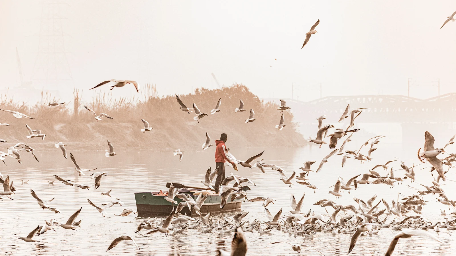 Neighbourhood park in Yamuna Bridge, Agra