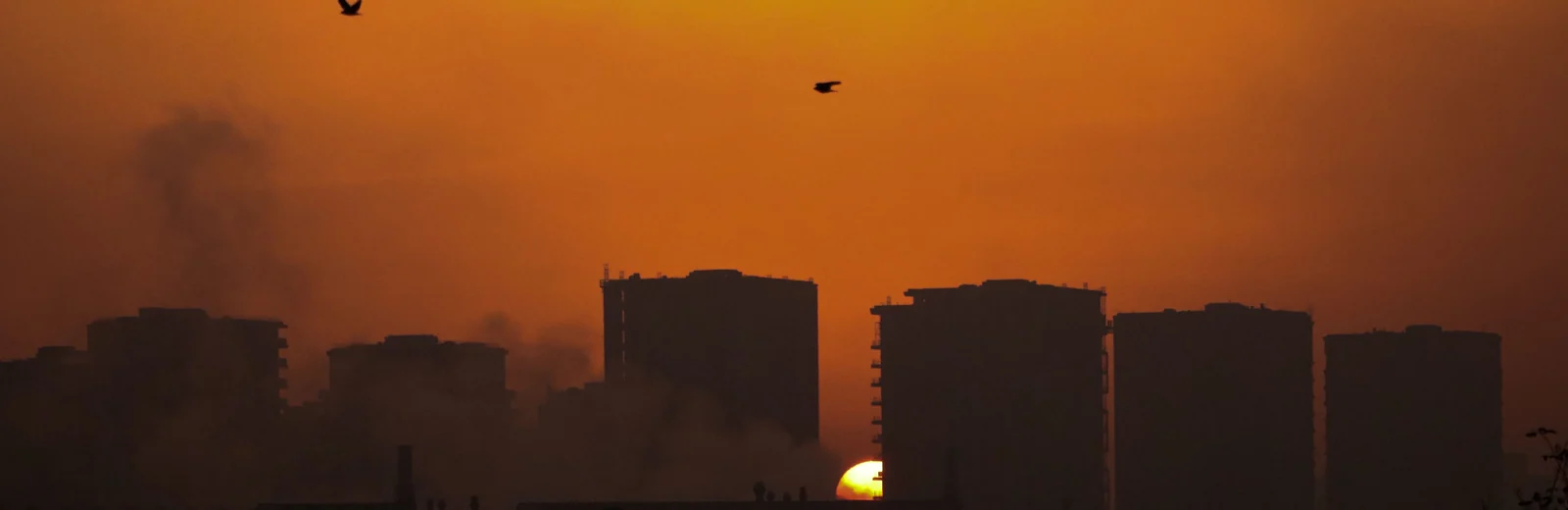Skyline of Ognaj Village, Ahmedabad at golden hour