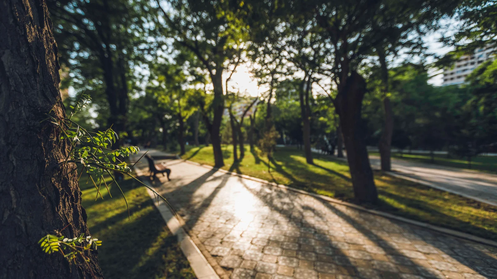 Neighbourhood park in Sardar Nagar, Ahmedabad