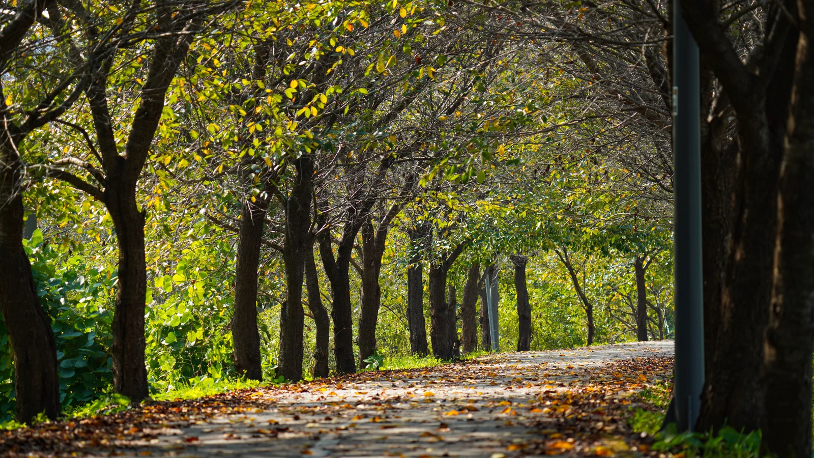 Neighbourhood park in SG Highway, Ahmedabad