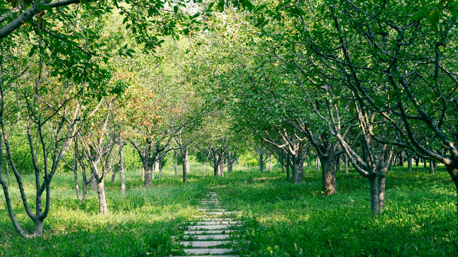 Neighbourhood park in Shilaj, Ahmedabad