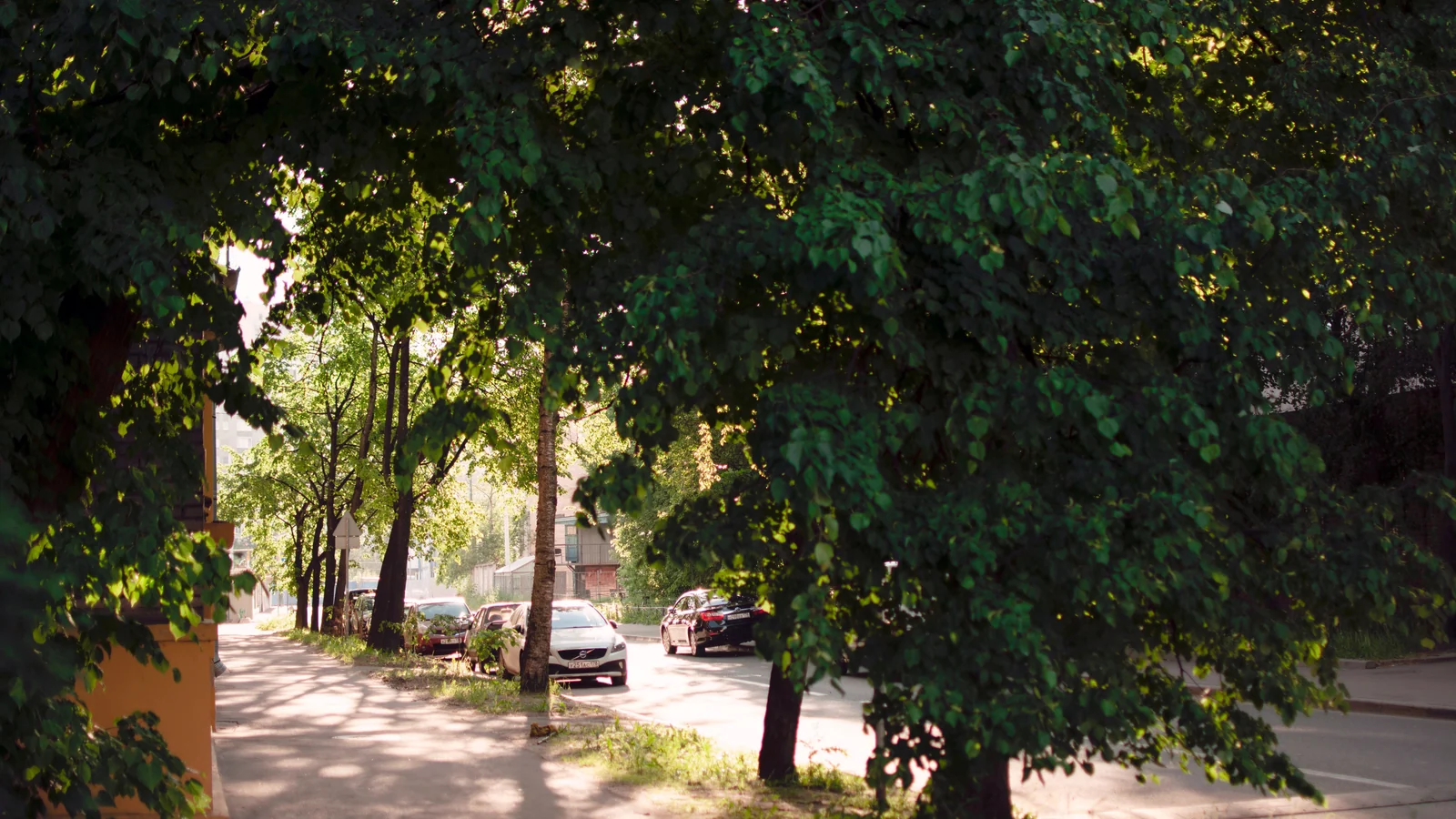 Neighbourhood park in New Bharat Nagar, Amritsar