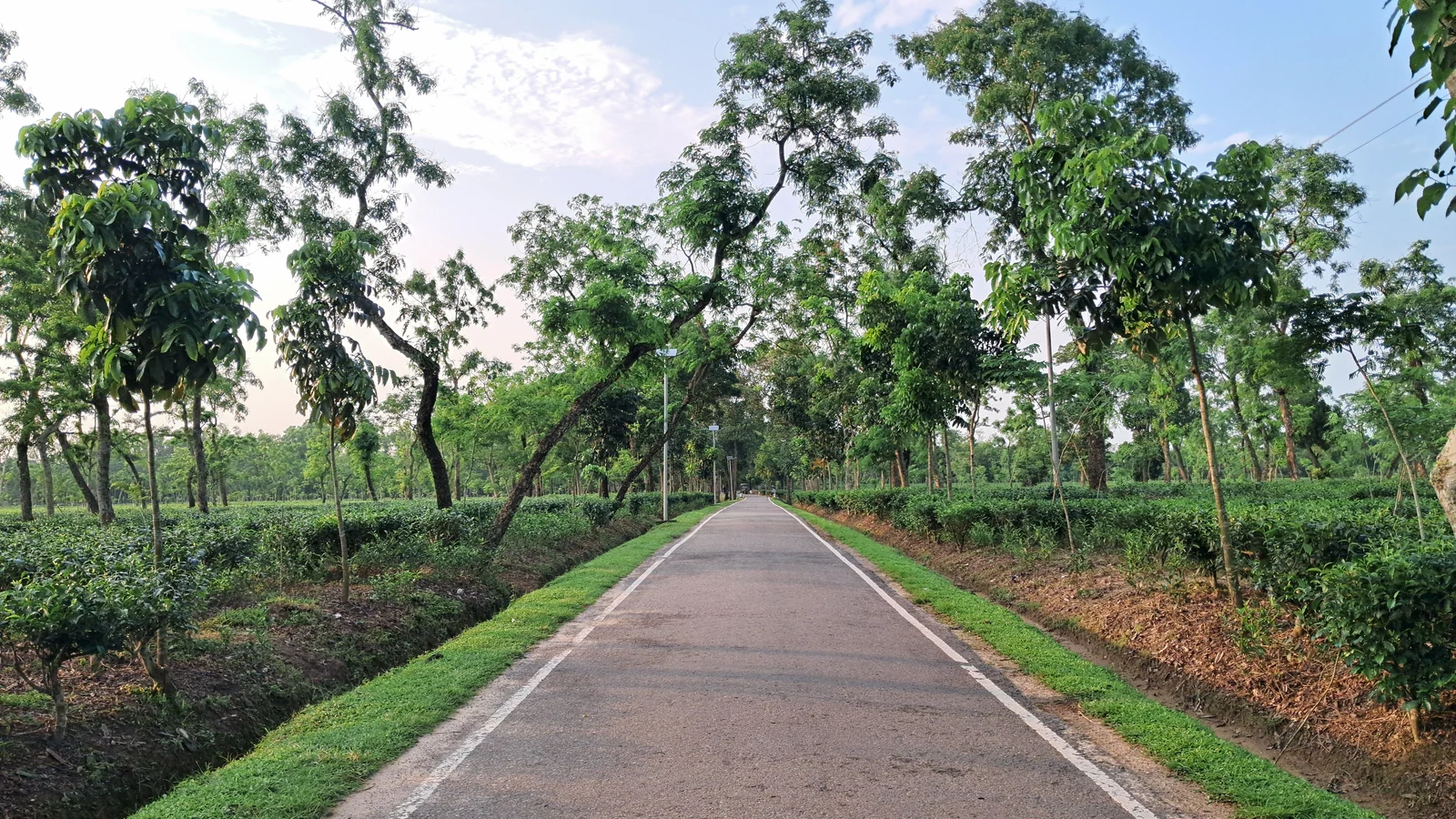 Neighbourhood park in Barhata Manjha, Ayodhya