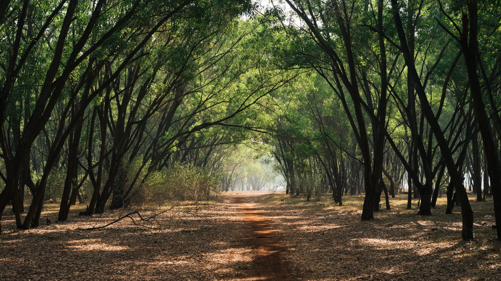 Neighbourhood park in Hebbal, Bengaluru