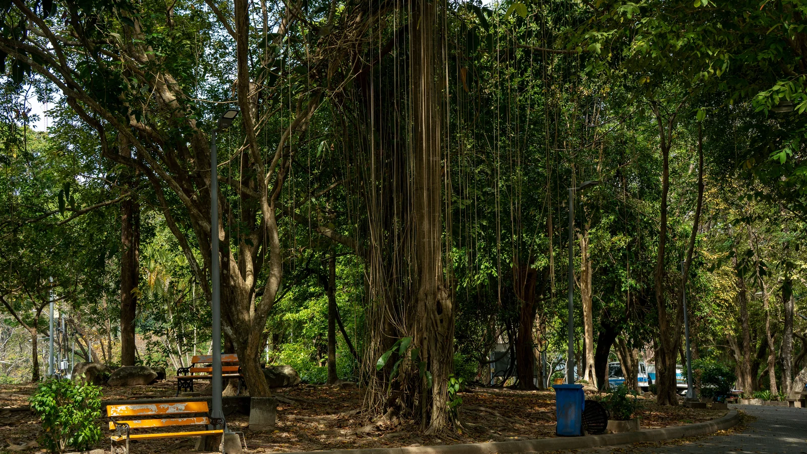 Neighbourhood park in Hulimavu, Bengaluru