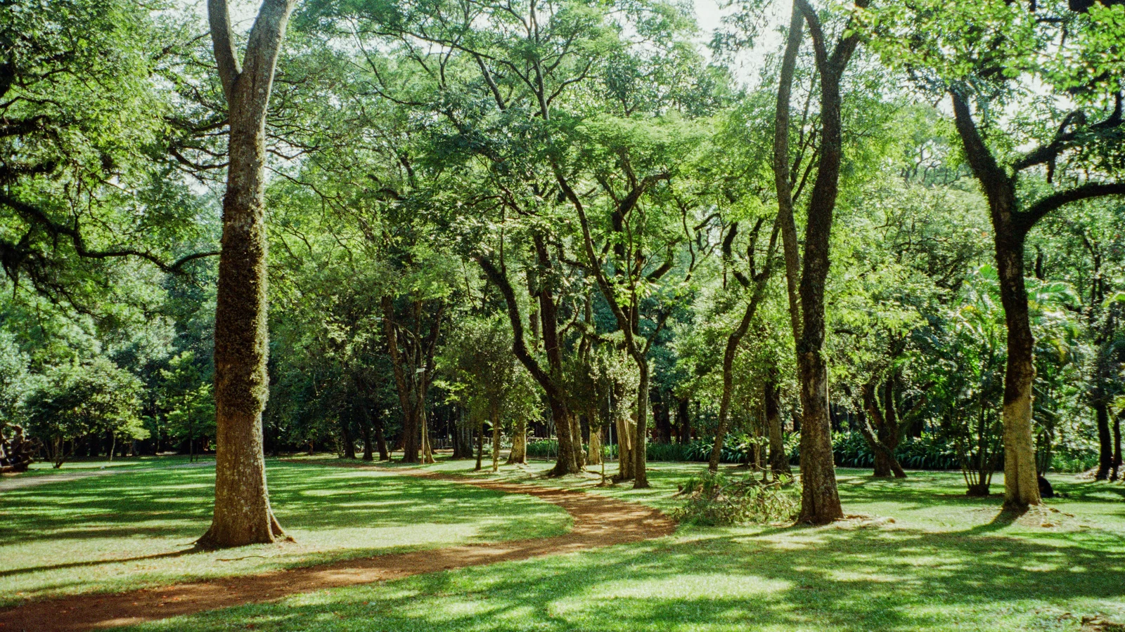 Neighbourhood park in Kasturi Nagar, Bengaluru
