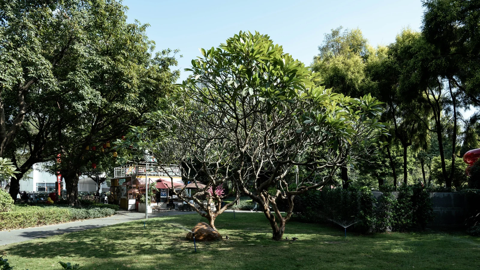 Neighbourhood park in Koramangala, Bengaluru
