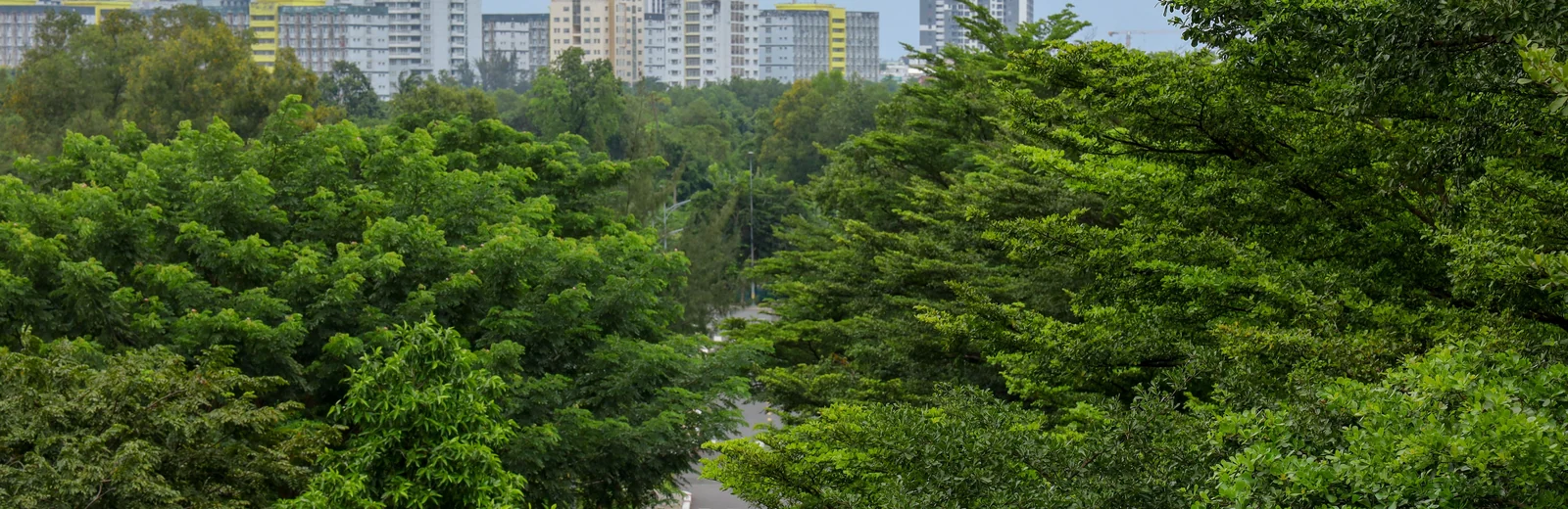 Skyline of Lavelle Road, Bengaluru at golden hour
