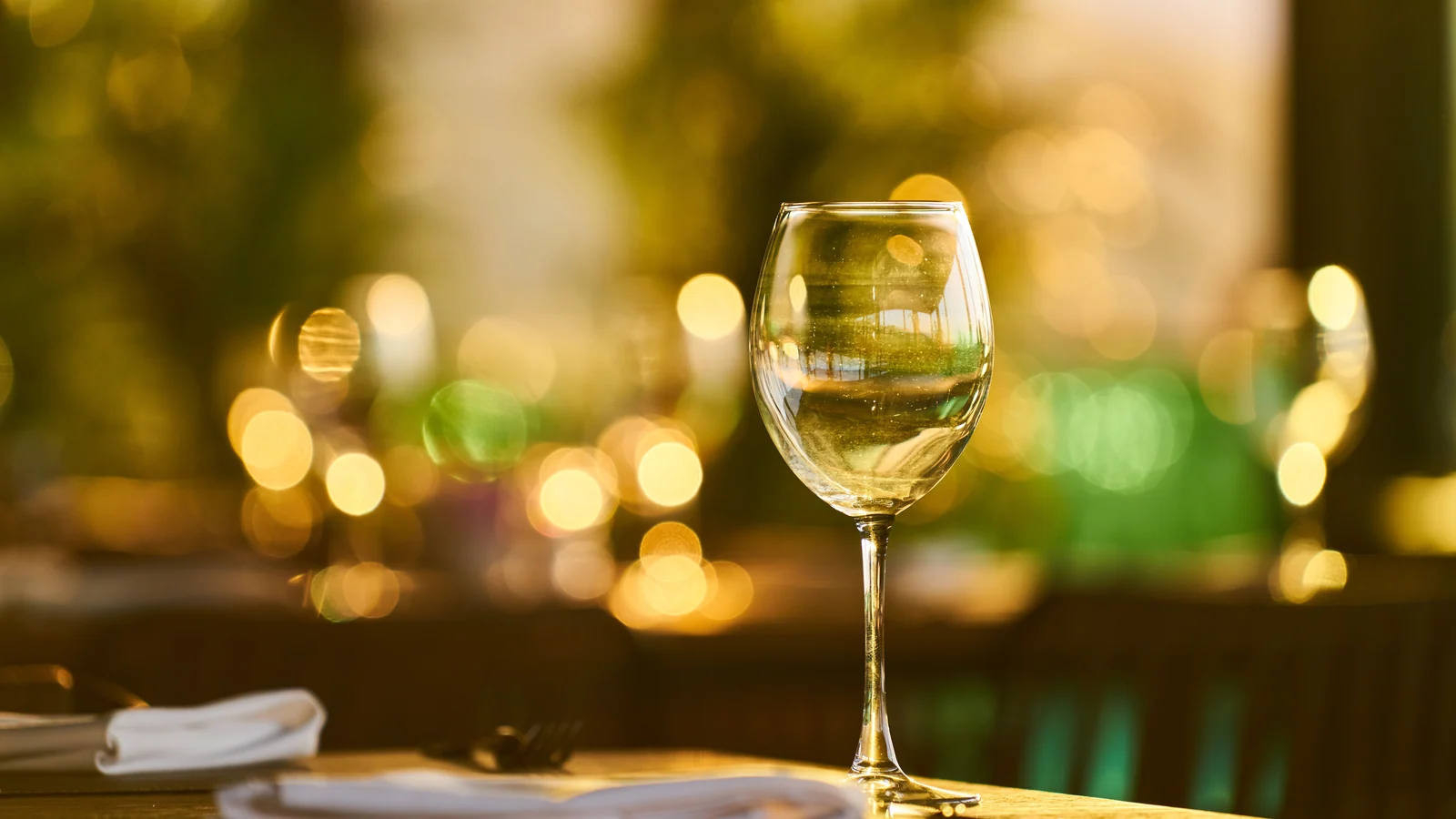 Street food and dining in Ashoka Garden, Bhopal