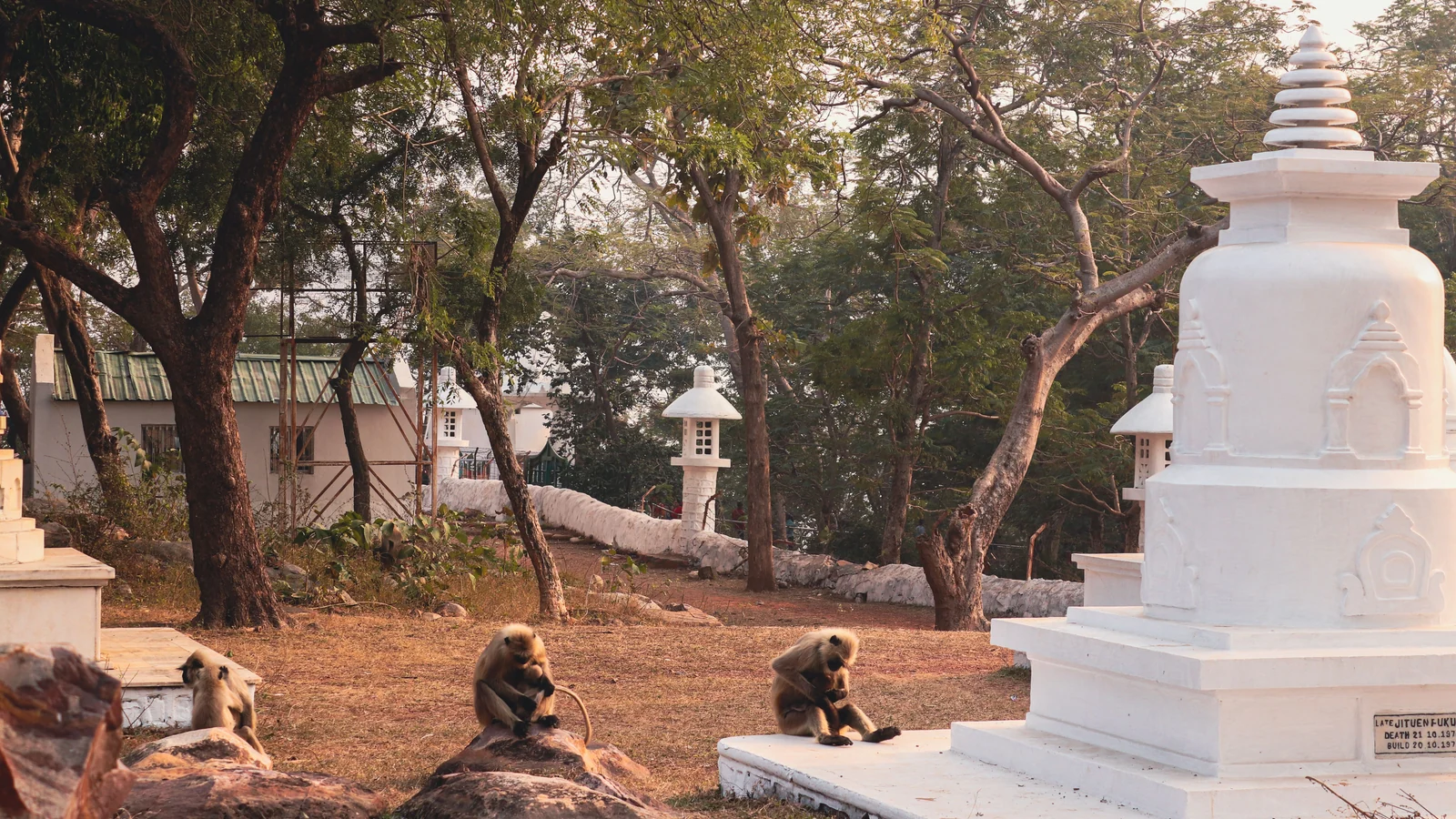 Neighbourhood park in Sonagiri, Bhopal