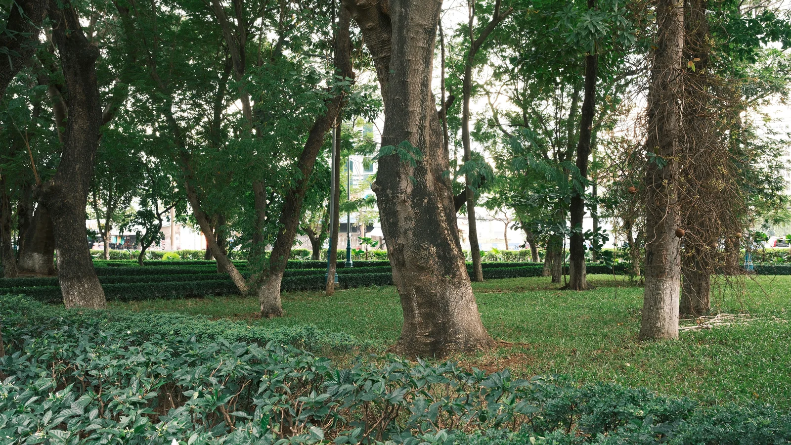 Neighbourhood park in Sukhi Sewaniya, Bhopal