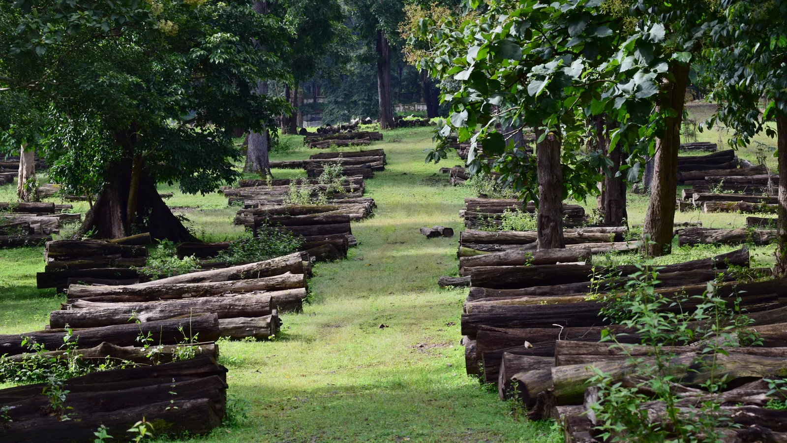Neighbourhood park in Maloha, Chandigarh