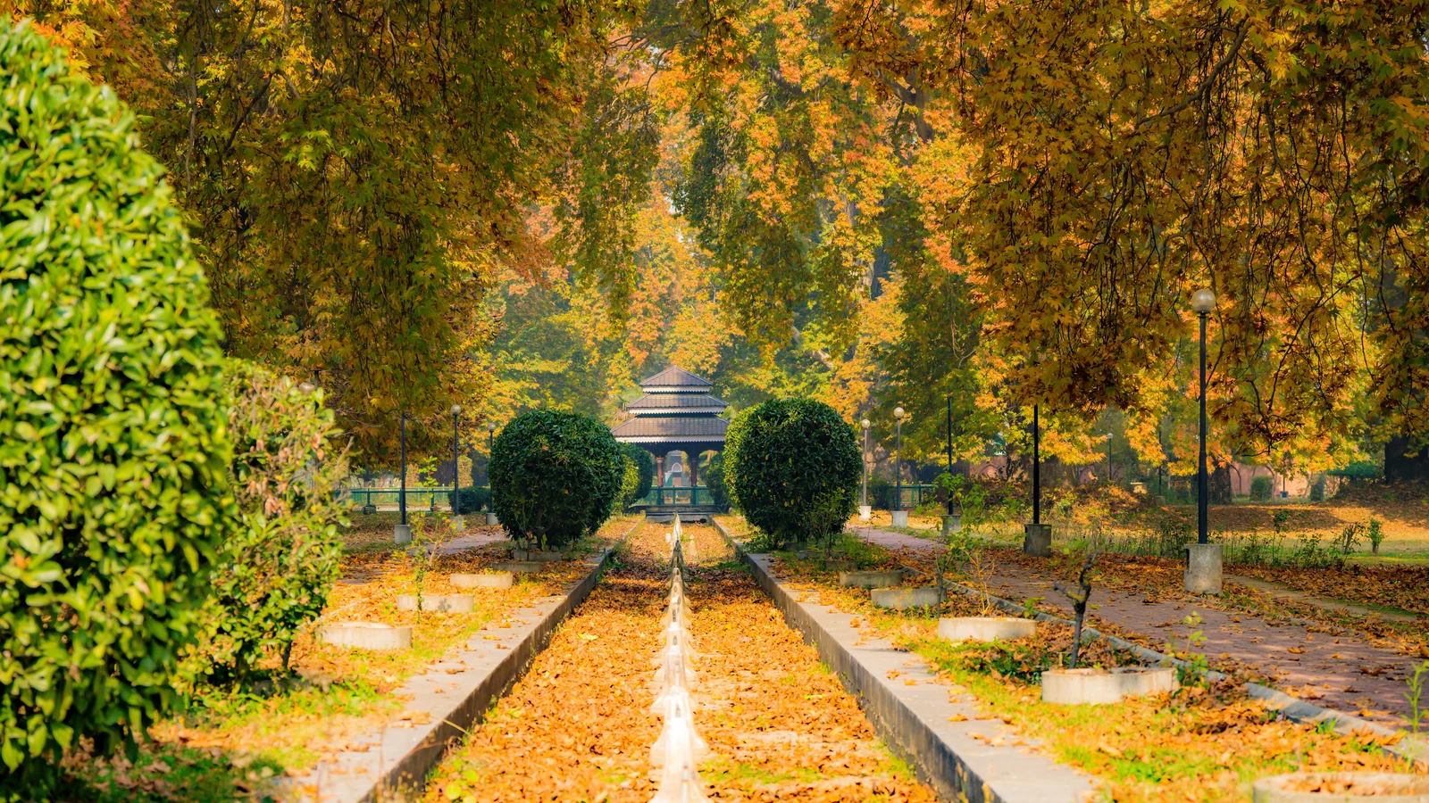 Neighbourhood park in Sector 23, Chandigarh