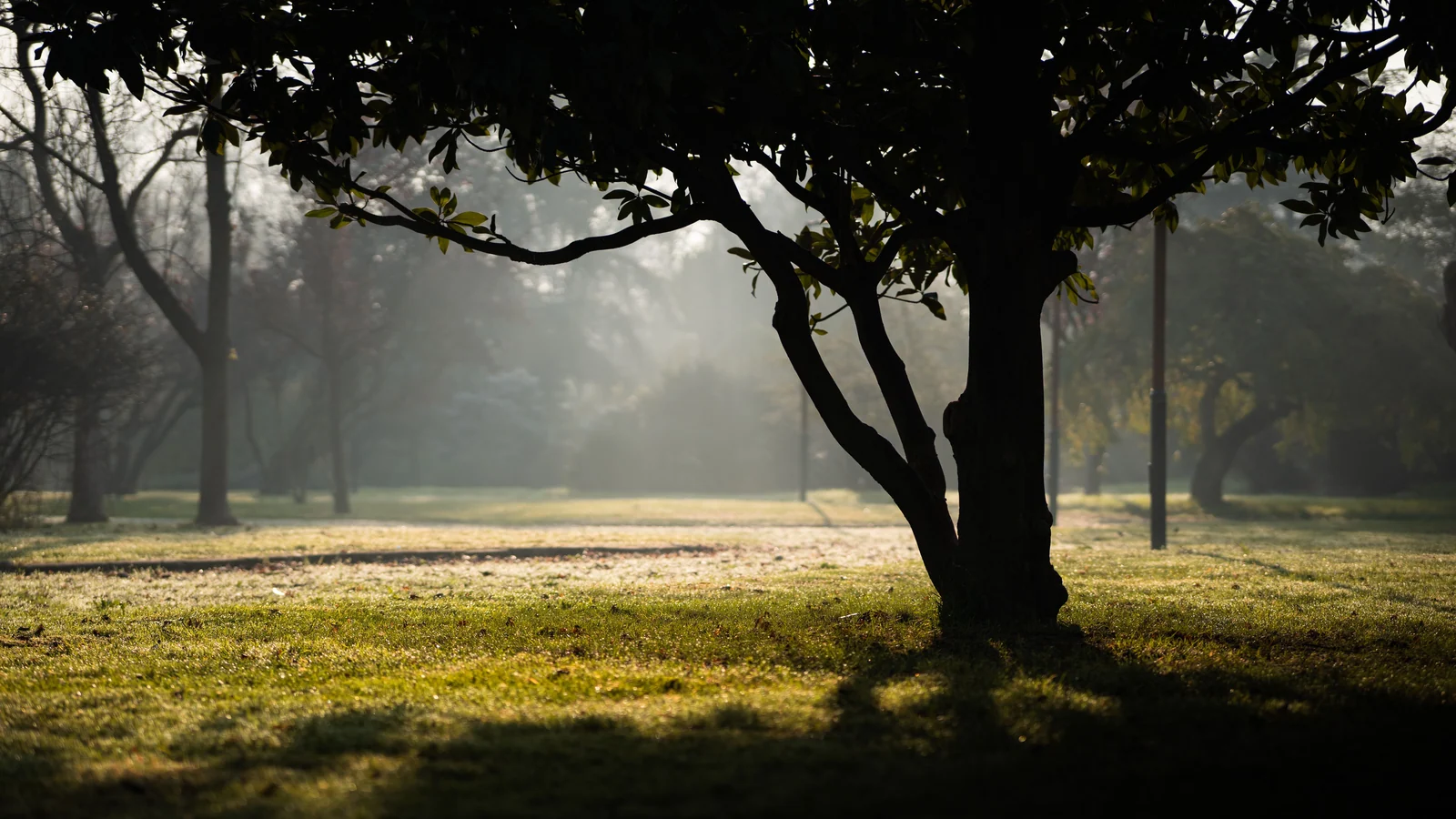 Neighbourhood park in Sector 27, Chandigarh