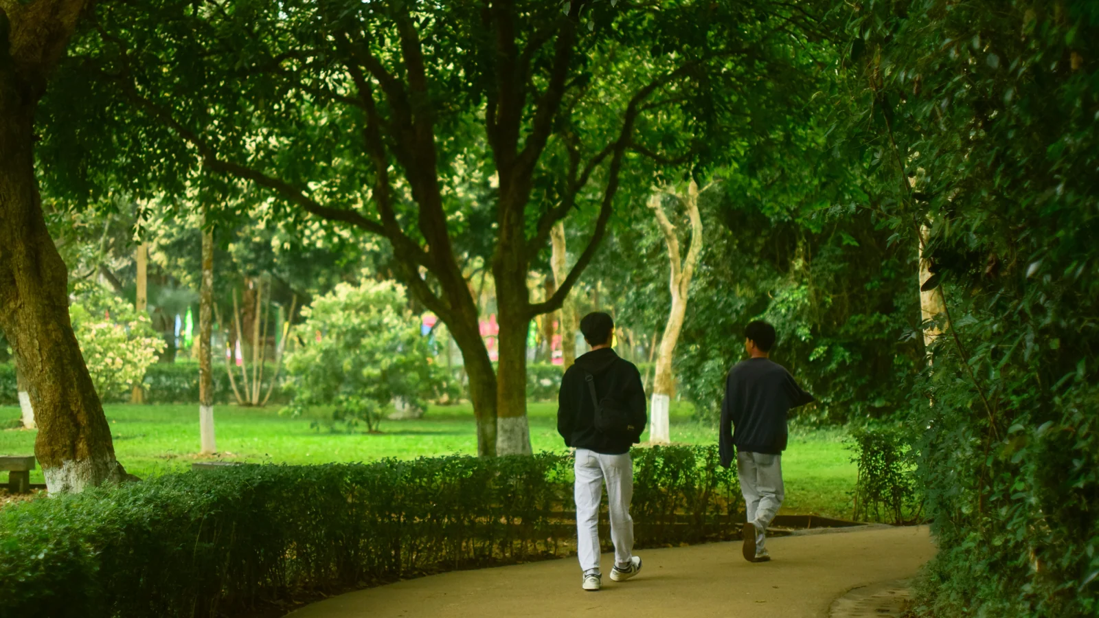 Neighbourhood park in Sector 36, Chandigarh