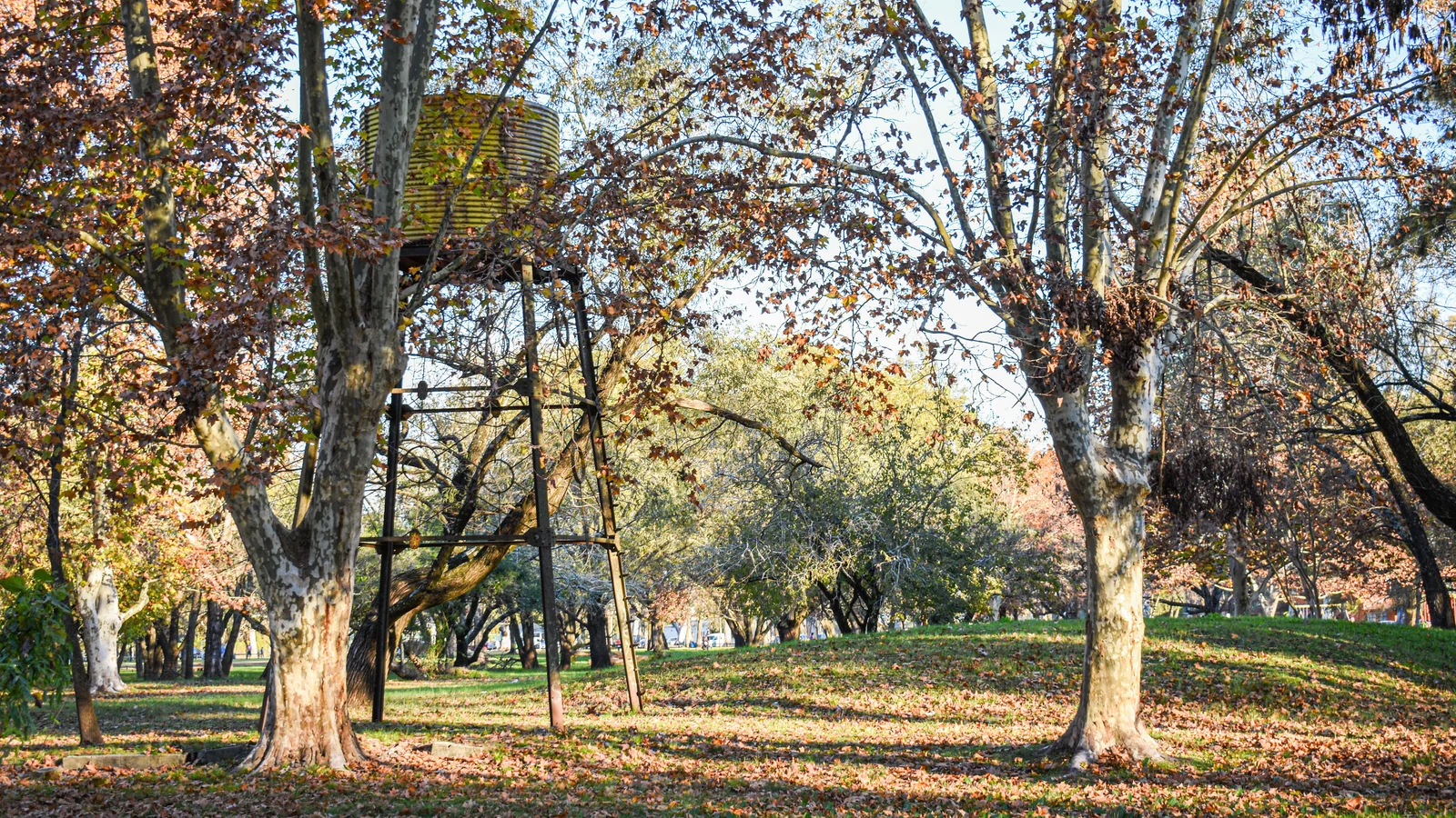 Neighbourhood park in Sector 40, Chandigarh