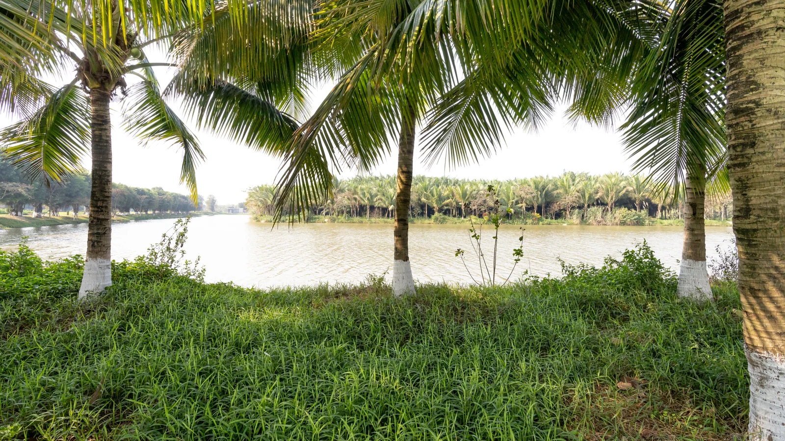 Neighbourhood park in Akkarai, Chennai