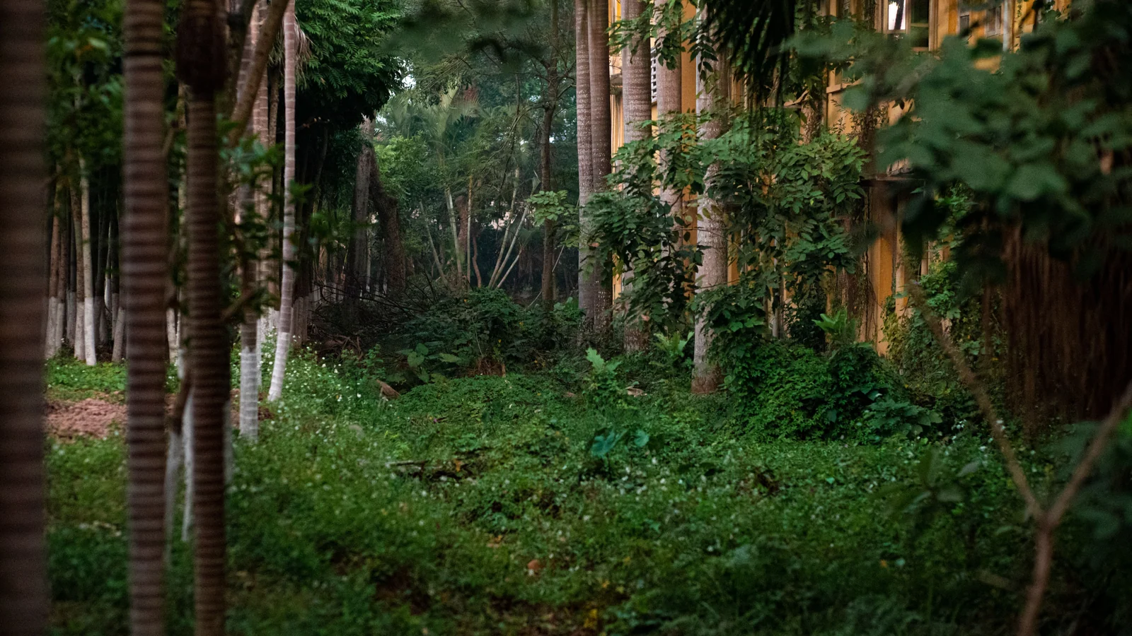 Neighbourhood park in Erumaivettipalayam R F, Chennai