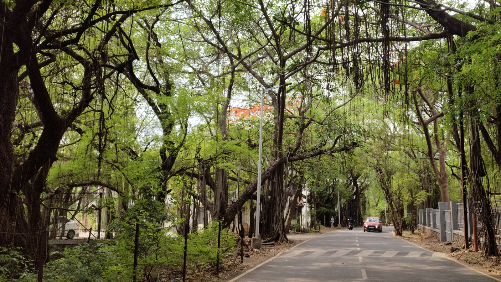 Neighbourhood park in Guindy, Chennai