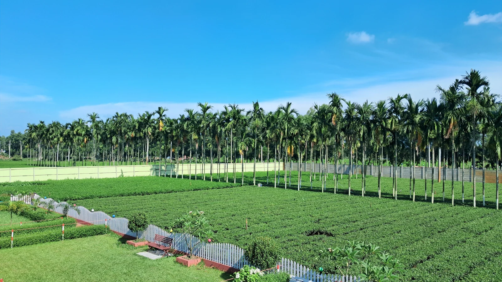 Neighbourhood park in Karanodai, Chennai