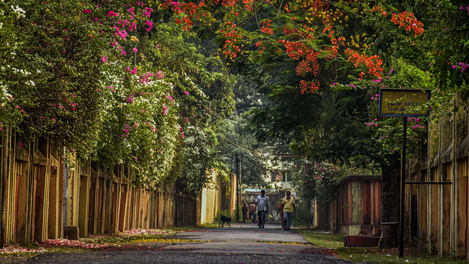 Neighbourhood park in Pallavaram, Chennai