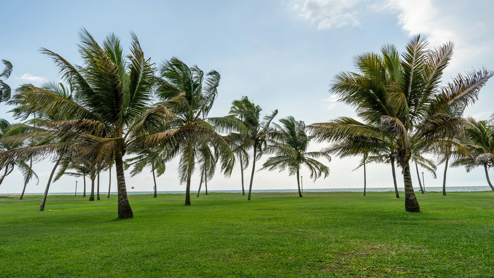 Neighbourhood park in Poonthandalam, Chennai