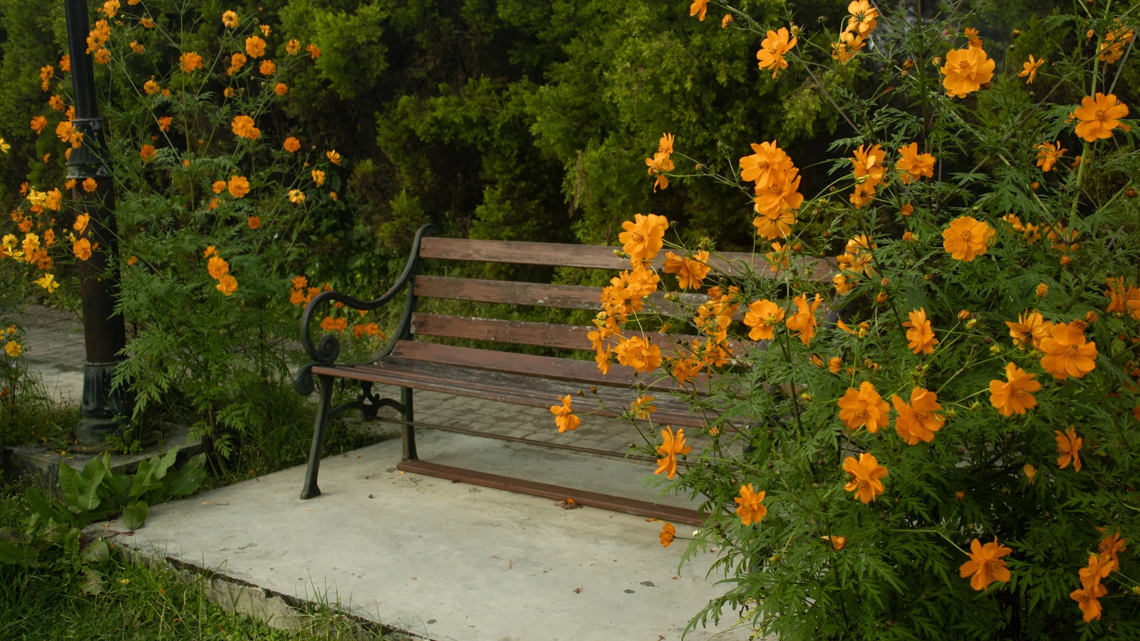 Neighbourhood park in Neelambur, Coimbatore