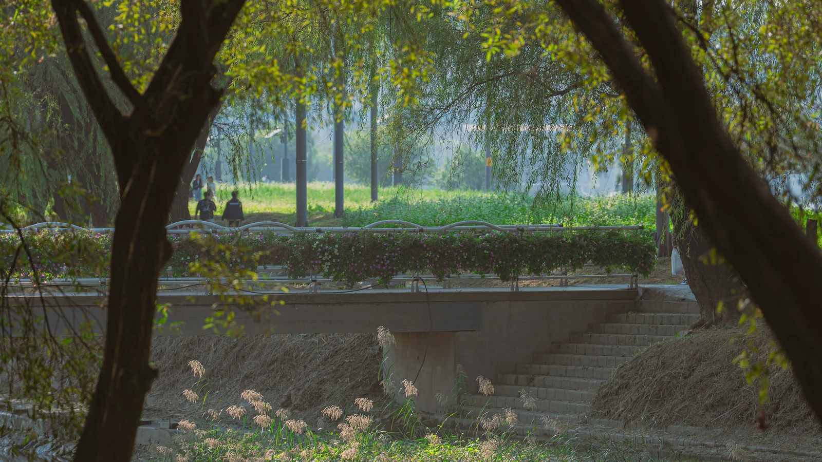 Neighbourhood park in Dwarka, Delhi