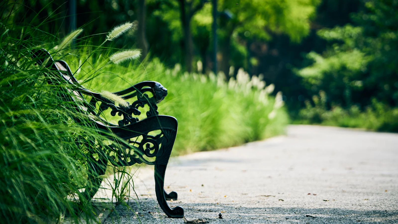 Neighbourhood park in Mayur Vihar Phase 3, Delhi