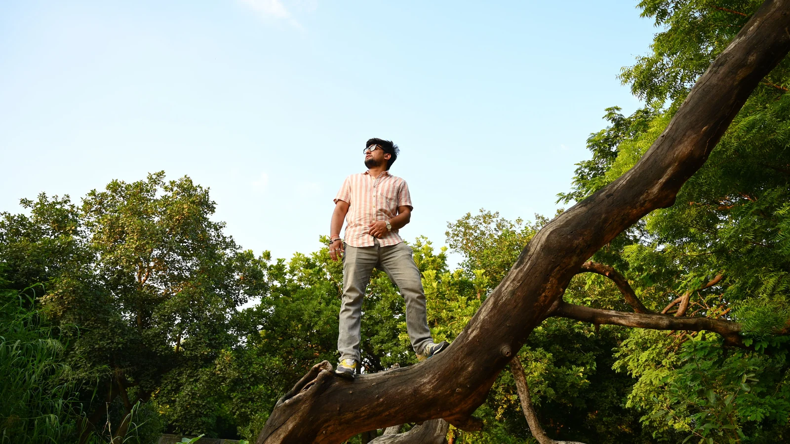 Neighbourhood park in Shalimar Bagh, Delhi