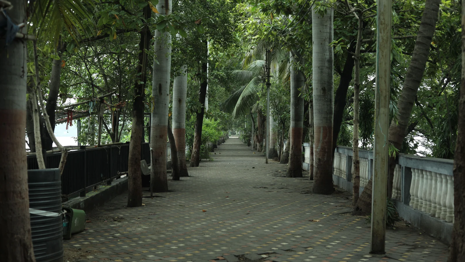 Neighbourhood park in Palashdanga, Durgapur