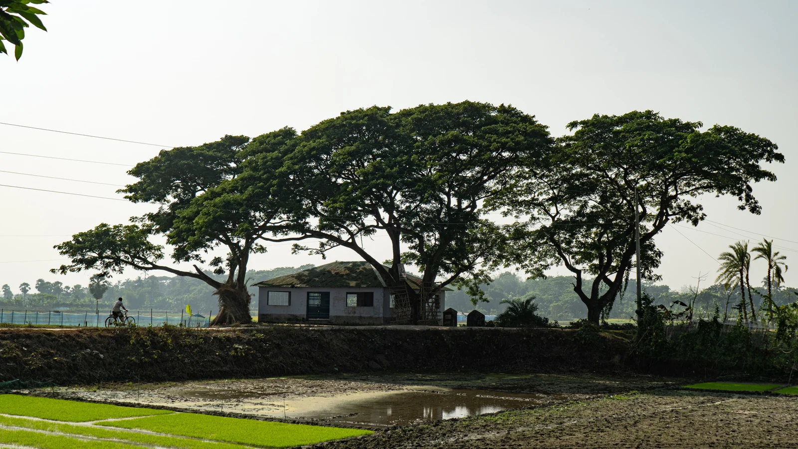 Neighbourhood park in Sagardanga, Durgapur