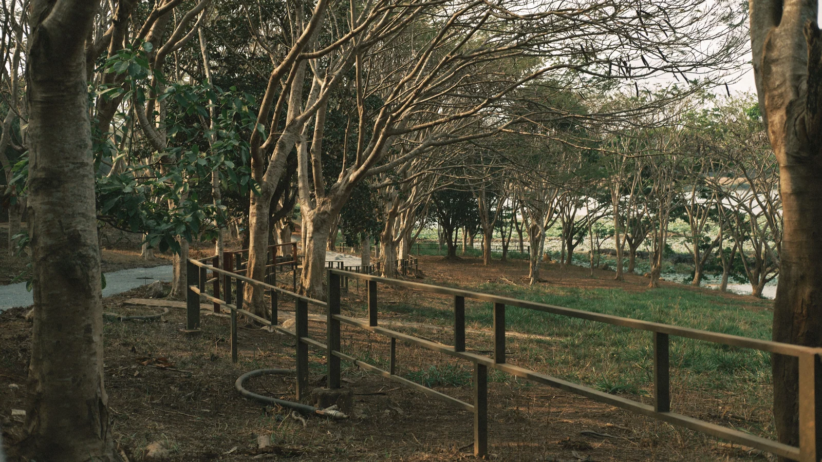 Neighbourhood park in Manesar Sector 3A, Gurugram