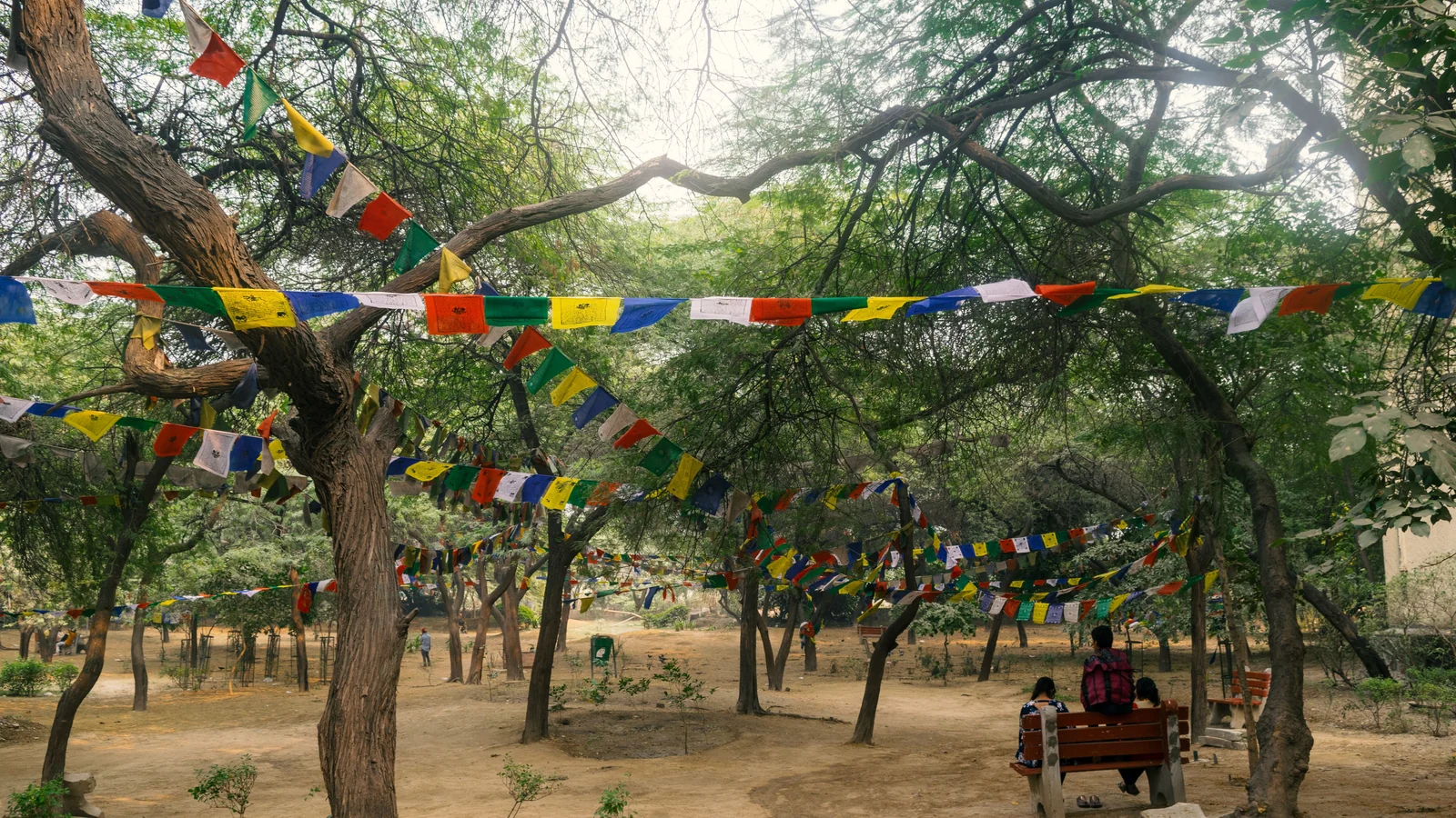 Neighbourhood park in Mankrola, Gurugram