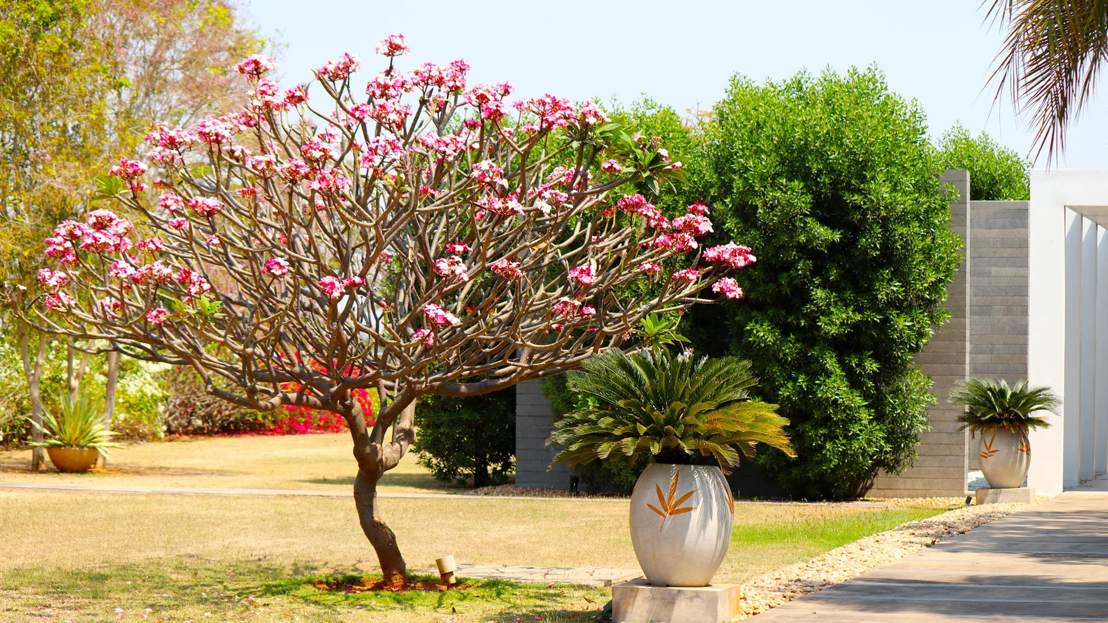 Neighbourhood park in Sector 102, Gurugram