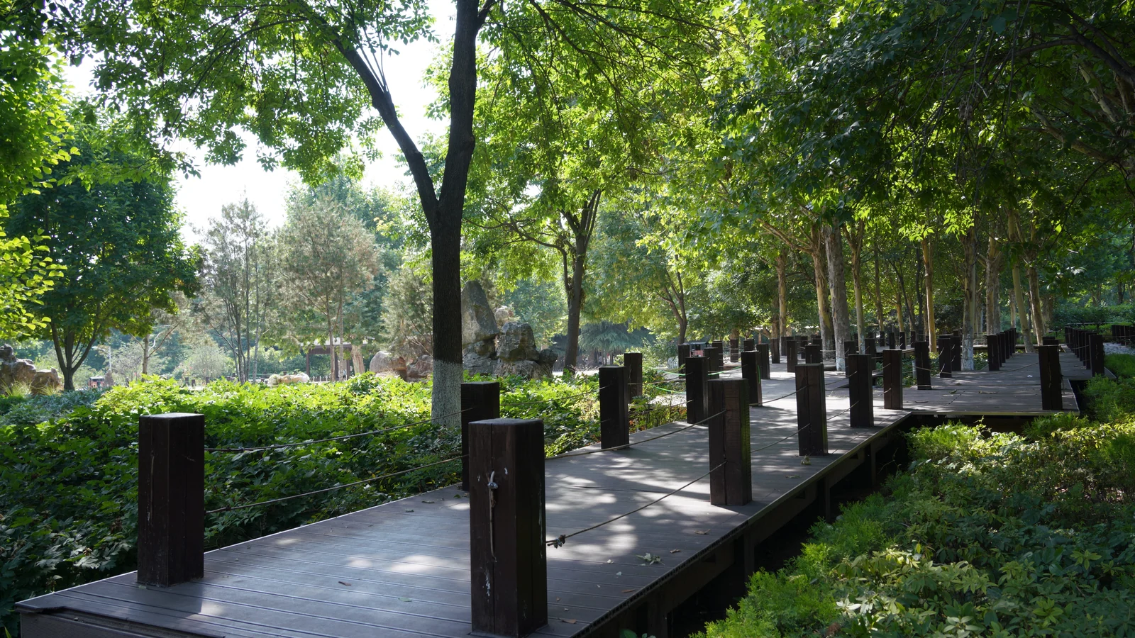 Neighbourhood park in Sector 103A, Gurugram
