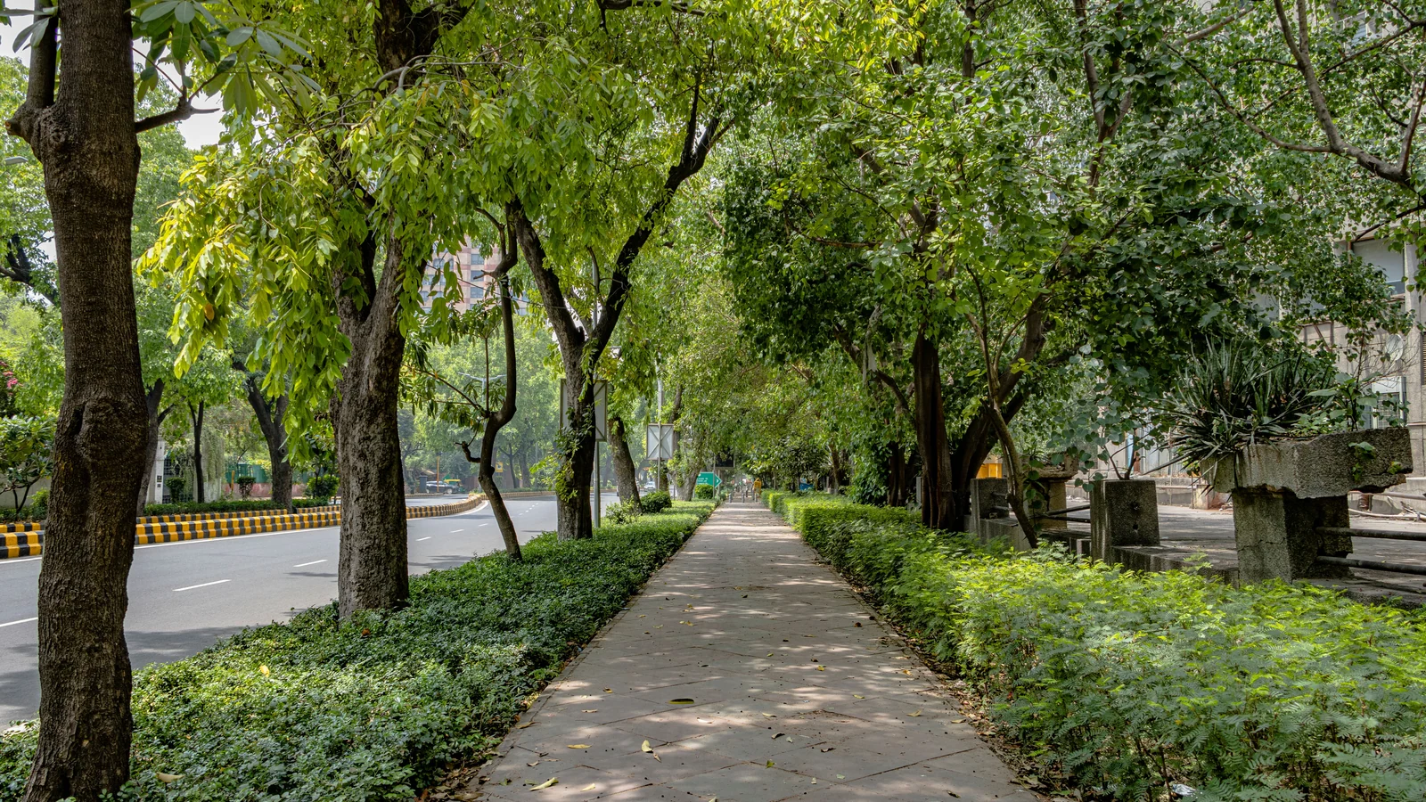 Neighbourhood park in Sector 12A, Gurugram