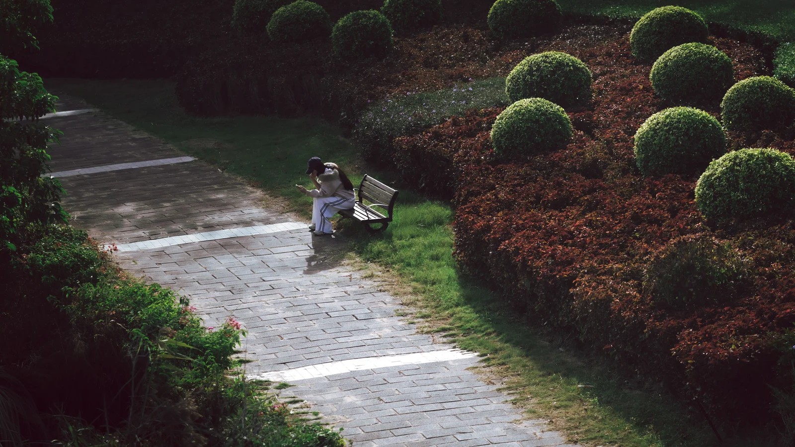Neighbourhood park in Sector 36, Gurugram