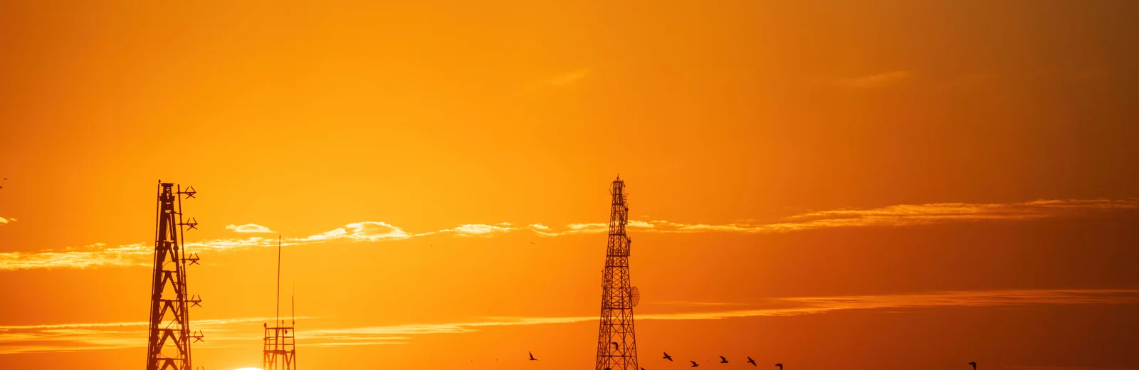 Skyline of Sector 49, Gurugram at golden hour