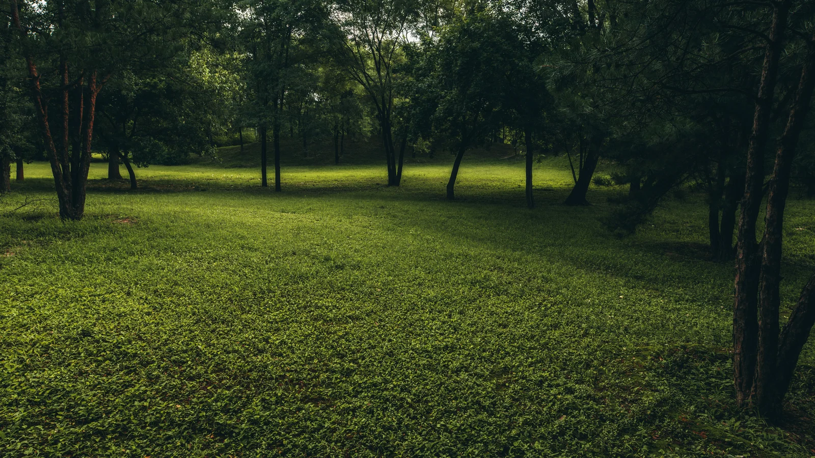 Neighbourhood park in Sector 73, Gurugram