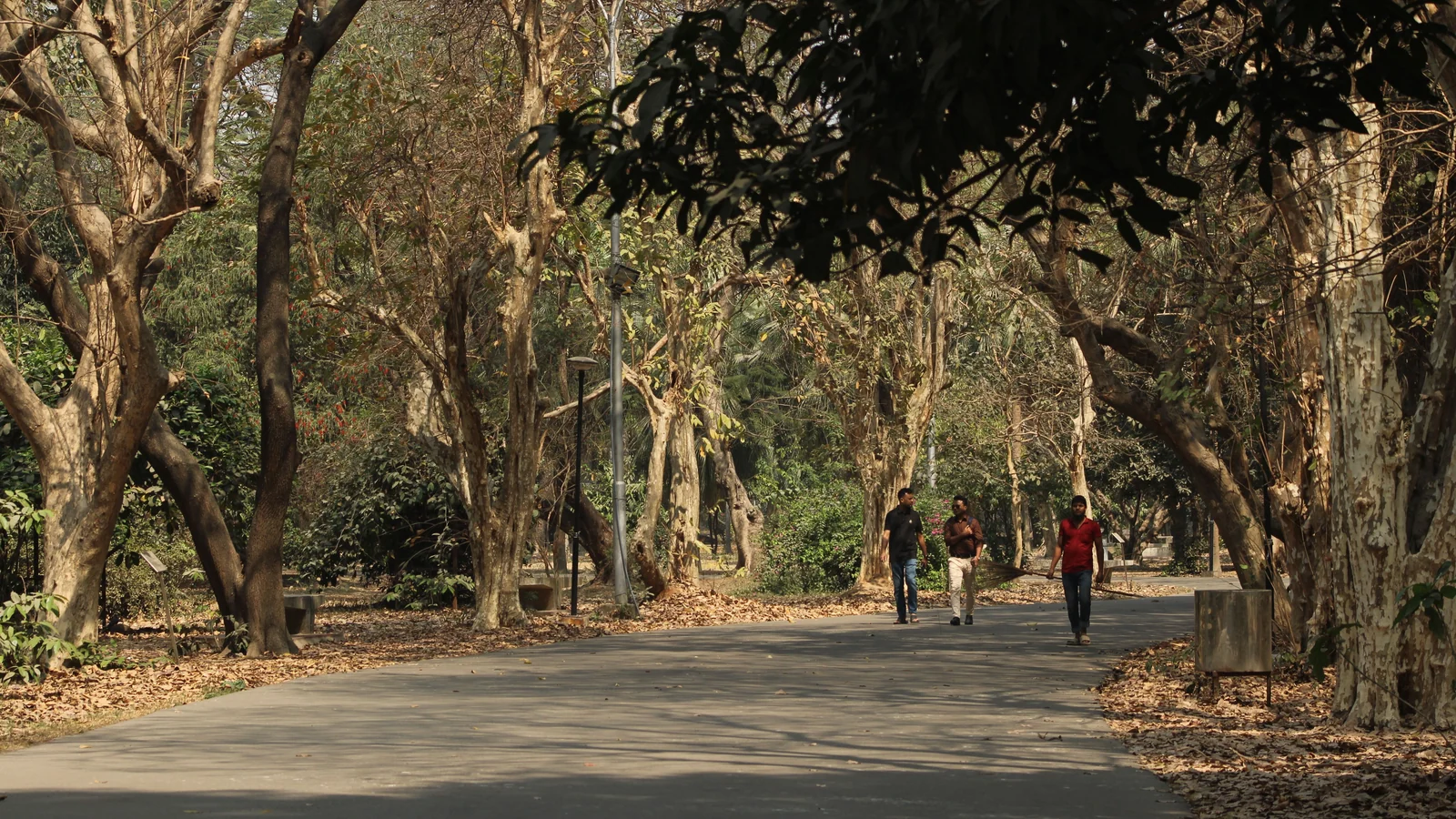 Neighbourhood park in Sohna Sector 7, Gurugram