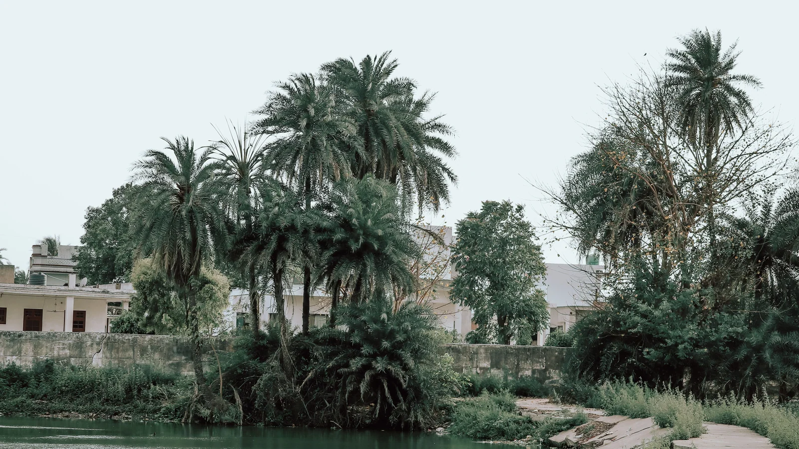 Neighbourhood park in Gandhi Nagar, Gwalior