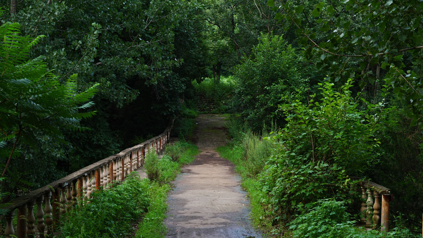 Neighbourhood park in Pushkar Colony, Gwalior