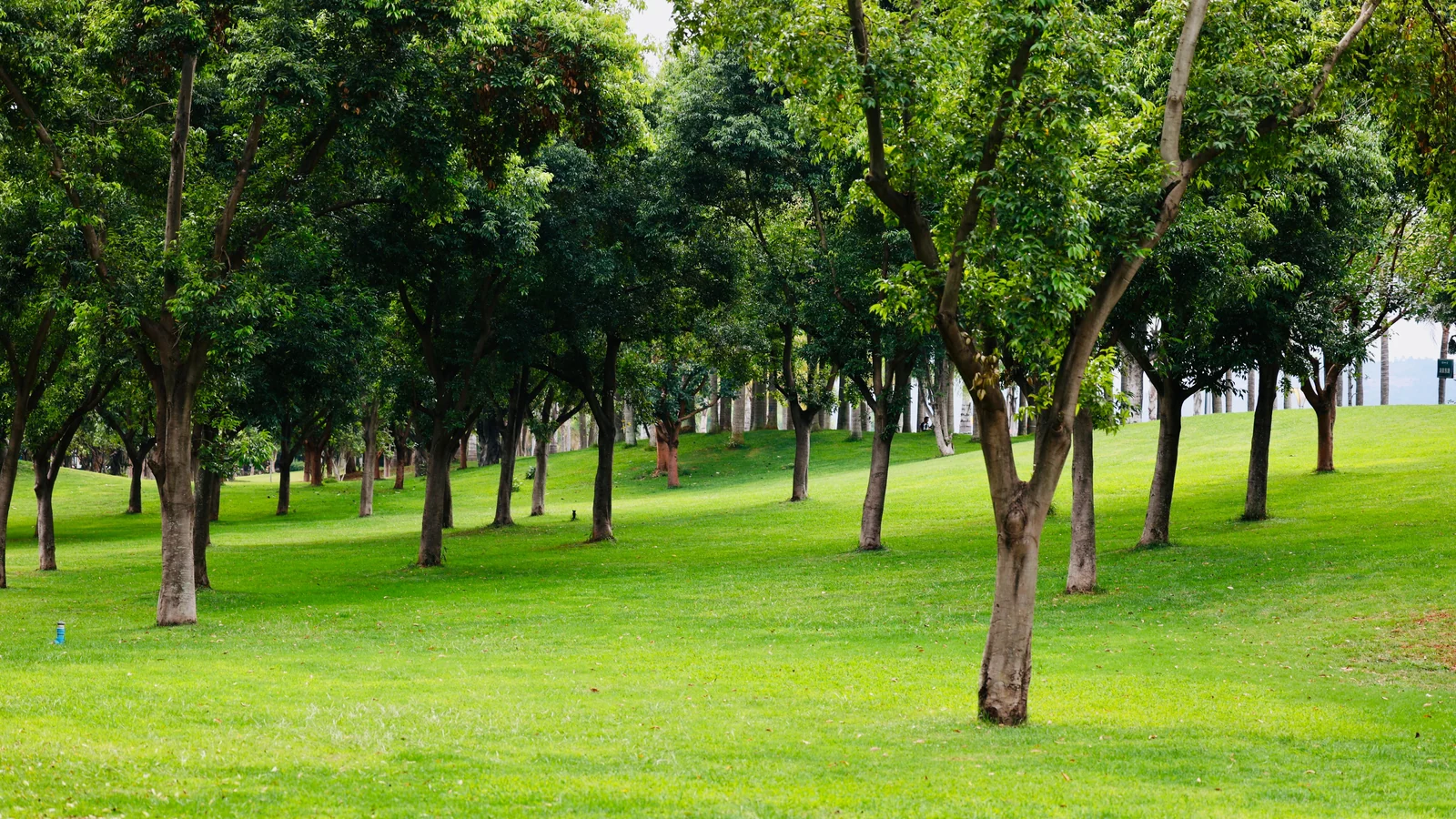 Neighbourhood park in Shiv Colony, Gwalior