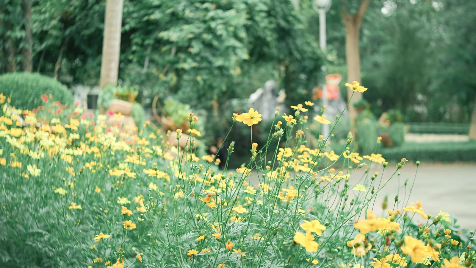 Neighbourhood park in Himayatnagar, Hyderabad