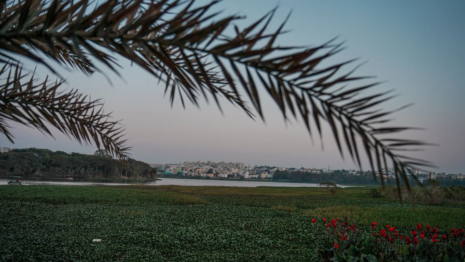 Neighbourhood park in Somajiguda, Hyderabad