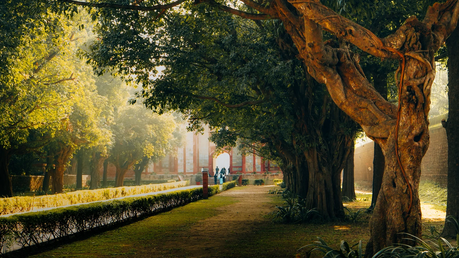 Neighbourhood park in Ganga Colony, Indore